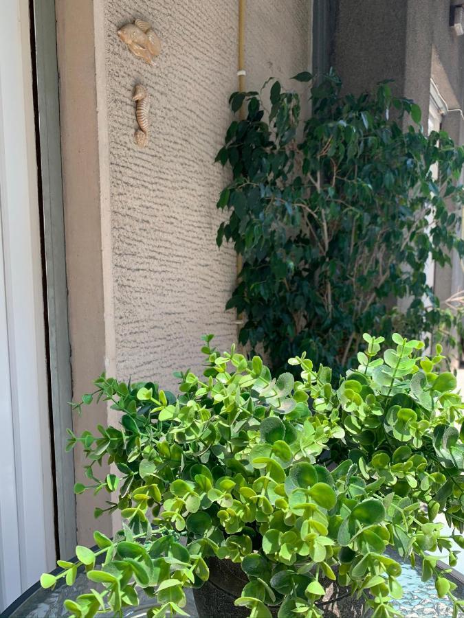 Renovated Cozy Apartment Near To Acropolis アテネ エクステリア 写真